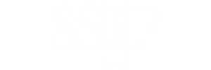SSIP white logo